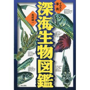 深海生物 イラストの商品一覧 通販 Yahoo ショッピング