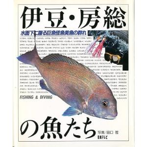 月刊 フィッシング」 1978年6月号 付録付き : さかなの本屋さん