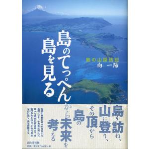 島のてっぺんから島を見る　
