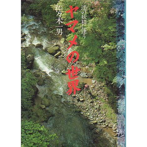 ヤマメの世界　