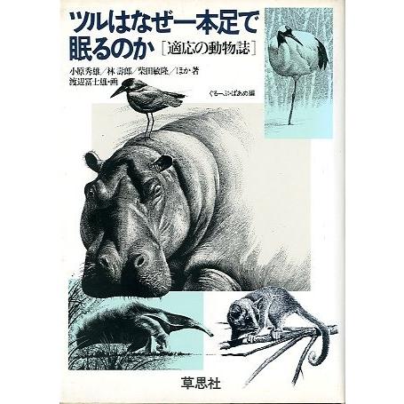 ツルはなぜ一本足で眠るのか　　＜送料込み＞