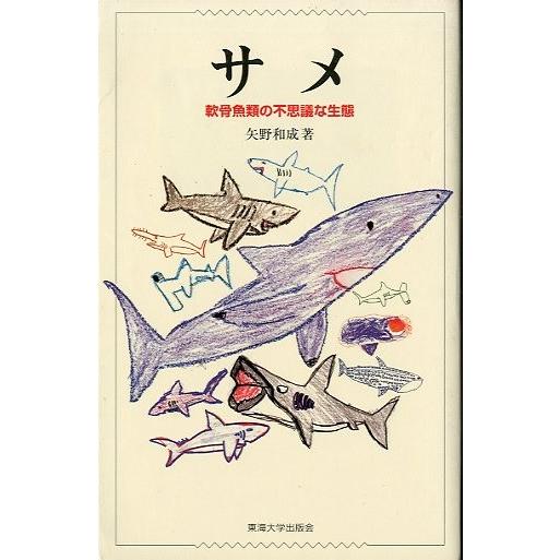 サメ　　軟骨魚類の不思議な生態