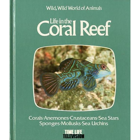 ー英語ー　Life in the Coral Reef