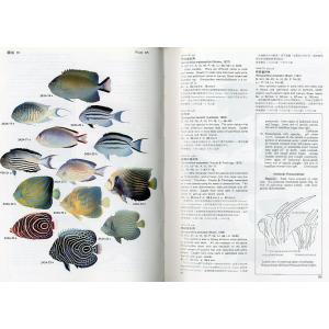 [中国語] 臺灣近海 魚類図鑑の詳細画像1