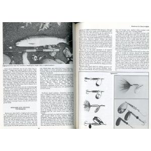 [英語] Western STEELHEAD ...の詳細画像2