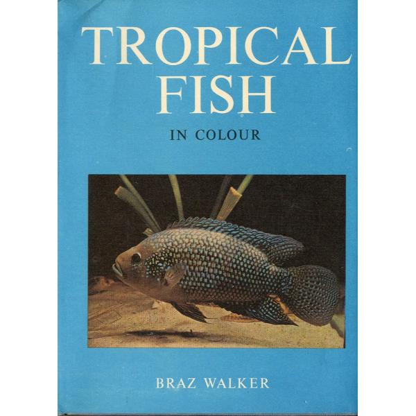 [英語] TROPICAL  FISH  IN COLOUR