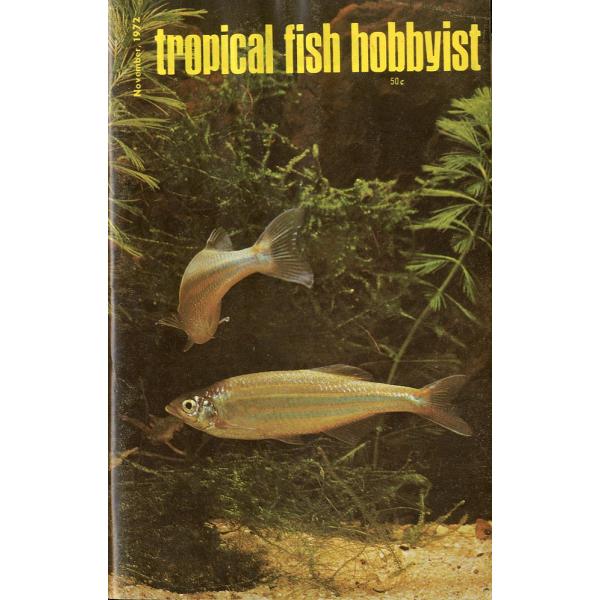 Tropical  Fish  Hobbyist (トロピカルフィッシュホビイスト）1972年11月...