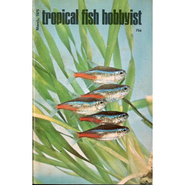 Tropical  Fish  Hobbyist (トロピカルフィッシュホビイスト）1975年3月号