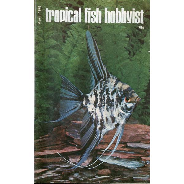 Tropical  Fish  Hobbyist (トロピカルフィッシュホビイスト）1975年4月号