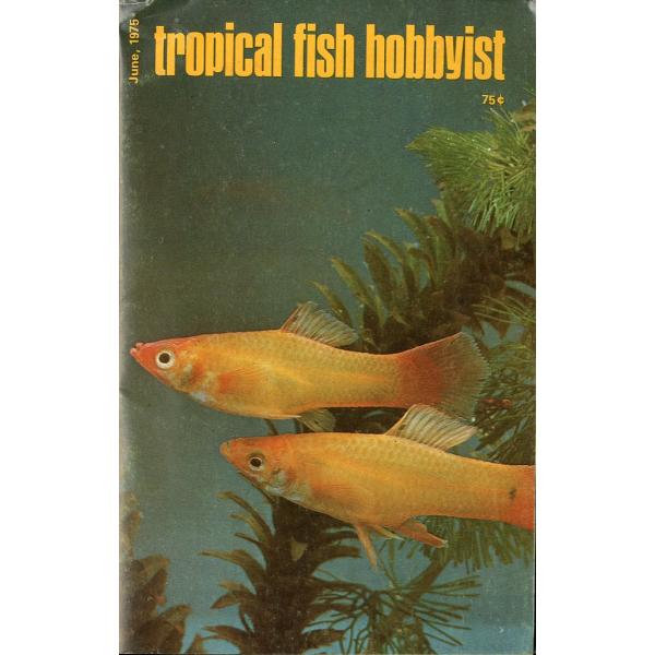 Tropical  Fish  Hobbyist (トロピカルフィッシュホビイスト）1975年6月号