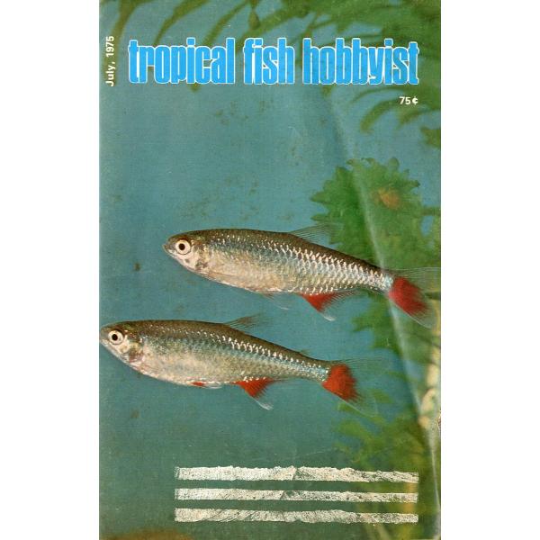 Tropical  Fish  Hobbyist (トロピカルフィッシュホビイスト）1975年7月号