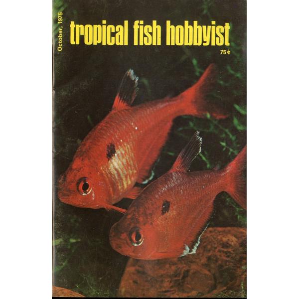 Tropical  Fish  Hobbyist (トロピカルフィッシュホビイスト）1975年10月...