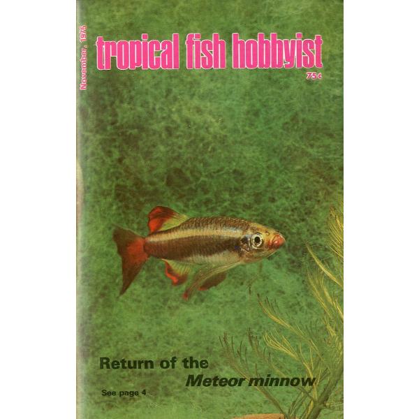 Tropical  Fish  Hobbyist (トロピカルフィッシュホビイスト）1975年11月...