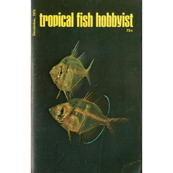Tropical  Fish  Hobbyist (トロピカルフィッシュホビイスト）1975年12月...