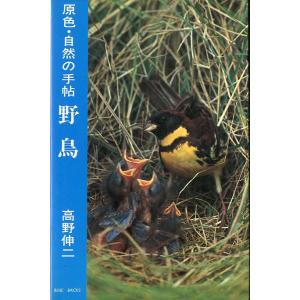 原色・自然の手帖　野鳥　＜送料無料＞