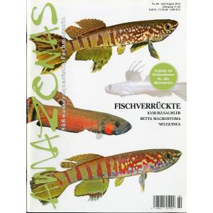 AMAZONAS（アマゾナス）　2015年7月/8月号　Ｎｏ．６０　（送料無料）