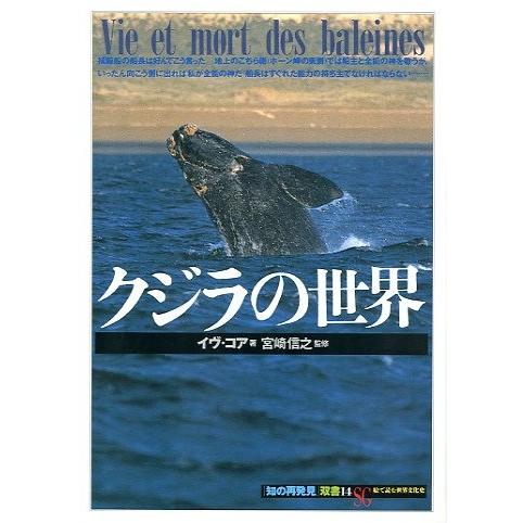 クジラの世界　
