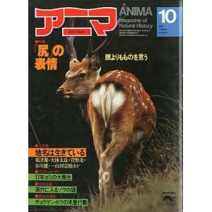 アニマ＜ＡＮＩＭＡ＞　１９８２年１０月　　Ｎｏ．１１６　＜送料込＞｜pulsebit