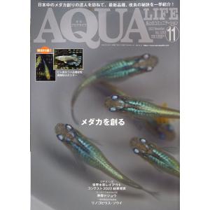 アクアライフ　　２０２２年１１月号　通巻５８７号　ー付録ポスターなしー　