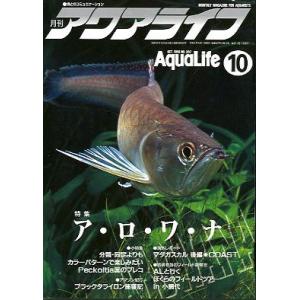 アクアライフ　　１９９６年１０月号　　