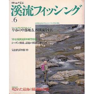 渓流フィッシング　Ｎｏ．６　　