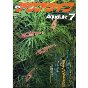 アクアライフ　　１９８１年７月号・通巻２４号　　＜＞