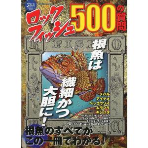 ロックフィッシュ５００の質問　＜＞