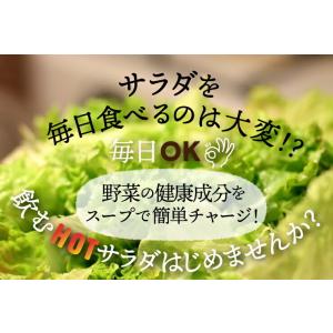 メール便 送料無料 健康さらさら・すごい玉ねぎ...の詳細画像2