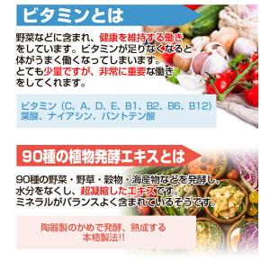 メール便 送料無料 健康さらさら・すごい玉ねぎ...の詳細画像4