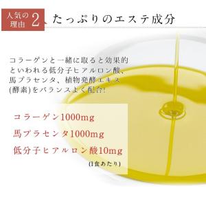 メール便 送料無料 女王様のすごい青汁 30包...の詳細画像4