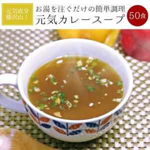 メール便　送料無料　元気カレースープ50食セット　包装資材簡素化のため訳あり大特価