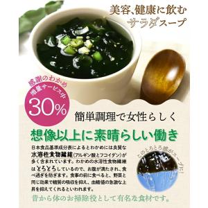 メール便 送料無料 たっぷり30包 すごい元気...の詳細画像2