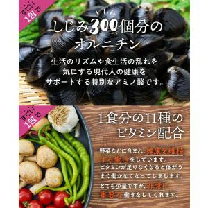 メール便 送料無料 たっぷり30包 すごい元気...の詳細画像4