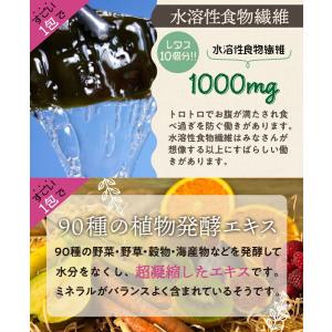 メール便 送料無料 たっぷり30包 すごい元気...の詳細画像5