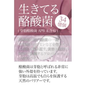 女王様のアルロース500g+酪酸菌 希少糖 カ...の詳細画像4