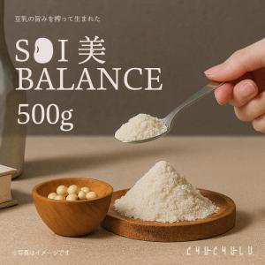 SOY美BALANCE 生きた酪酸菌と発酵性食物繊維たっぷりのたんぱく質パウダー 500g　発酵性食物繊維　ソイプロテイン　おからパウダー　美容　植物性たんぱく質