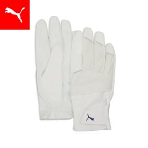 ユニセックス ゴルフ シャドウ ウィンター グローブ