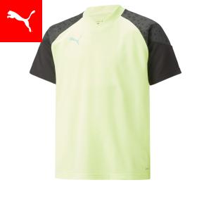 プーマ キッズ サッカー サッカーシャツ PUMA キッズ サッカー INDIVIDUALCUP トレーニング ユニフォーム 120-160cm｜puma