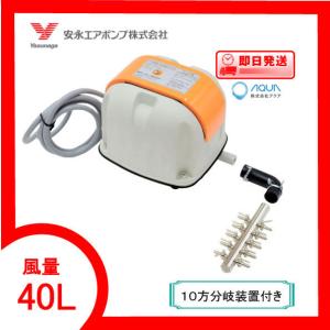 安永エアーポンプ AP-40P 【20分岐パイプ付き】 ブロワー 楽天市場】【1年保証付】【接続ホース付】安永 AP-40P