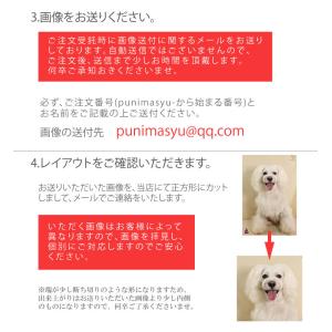 お試し価格 オリジナル プリント ハンド タオ...の詳細画像4