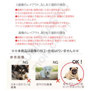プチプラ オーダーメイド クッション メモリア...の詳細画像5