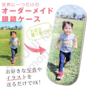 正規品】【送料無料】PYR FILING PLUS パイラ ファイリング プラス 45