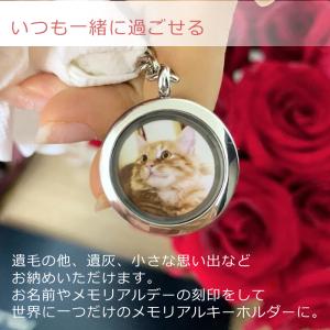 オーダーメイド ペット 遺灰 遺骨 遺毛 歯 ...の詳細画像2