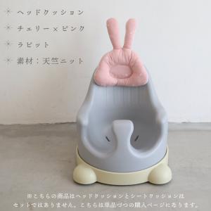 PUPPAPUPO P-edition用 クッ...の詳細画像4