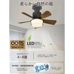 シーリングファン シーリングファンライト LE...の詳細画像3