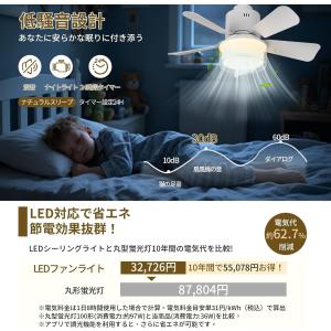 シーリングファン シーリングファンライト LE...の詳細画像4