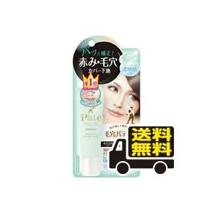 ☆メール便・送料無料☆サナ 毛穴パテ職人 スムースカラーベース 02(22g) 【3〜5】 送料無料