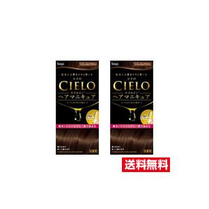 ■2個セット・送料無料■シエロ オイルインヘアマニキュア ナチュラルブラウン【白髪隠し】(100g+...