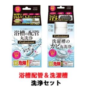 ■送料無料■数量限定!【洗濯槽＆浴槽洗浄セット】クリーンプラネット 洗濯槽のカビ丸洗浄 Profes...