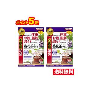 ■2個セット・ポイント5倍・送料無料■日本薬健 葛花茶プラス お徳用(40袋)(機能性表示食品)